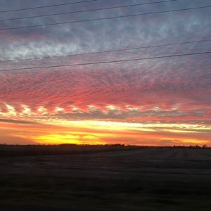 Meet your Posher, Hallie